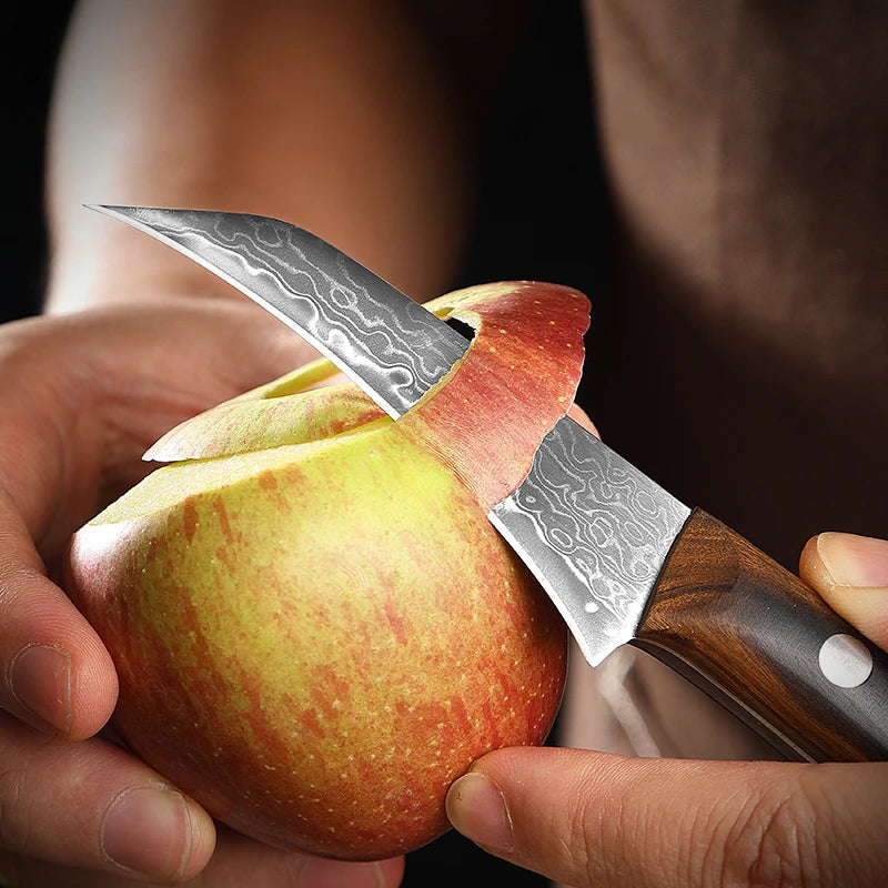 Hector Bird-Beak Paring Knife – 3.5” Damascus Stainless Steel
