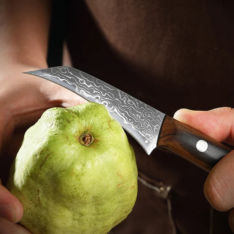 Hector Bird-Beak Paring Knife – 3.5” Damascus Stainless Steel