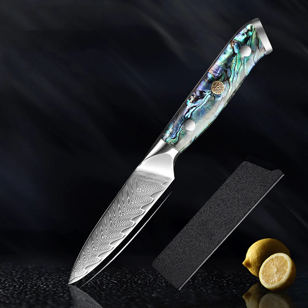 HECTOR - Damascus Steel Kitchen Knife with Abalone Handle