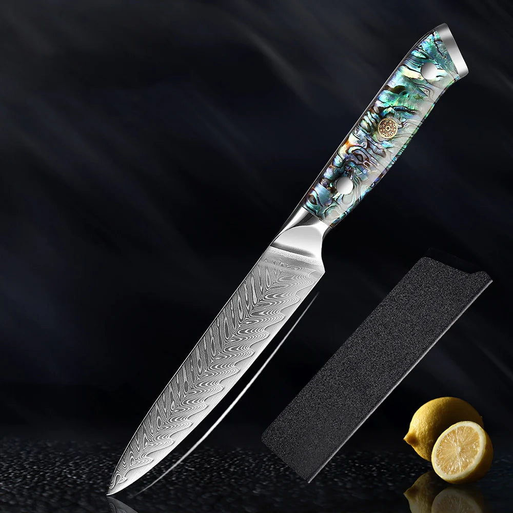 HECTOR - Damascus Steel Kitchen Knife with Abalone Handle