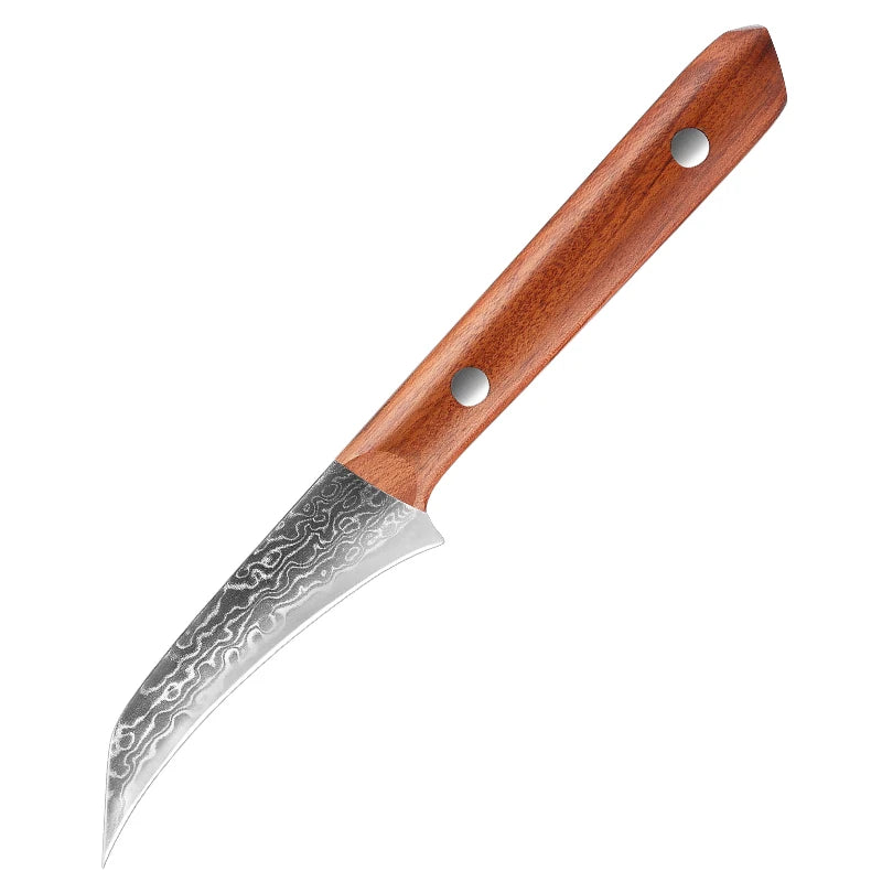 Hector Bird-Beak Paring Knife – 3.5” Damascus Stainless Steel