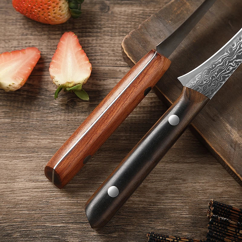 Hector Bird-Beak Paring Knife – 3.5” Damascus Stainless Steel