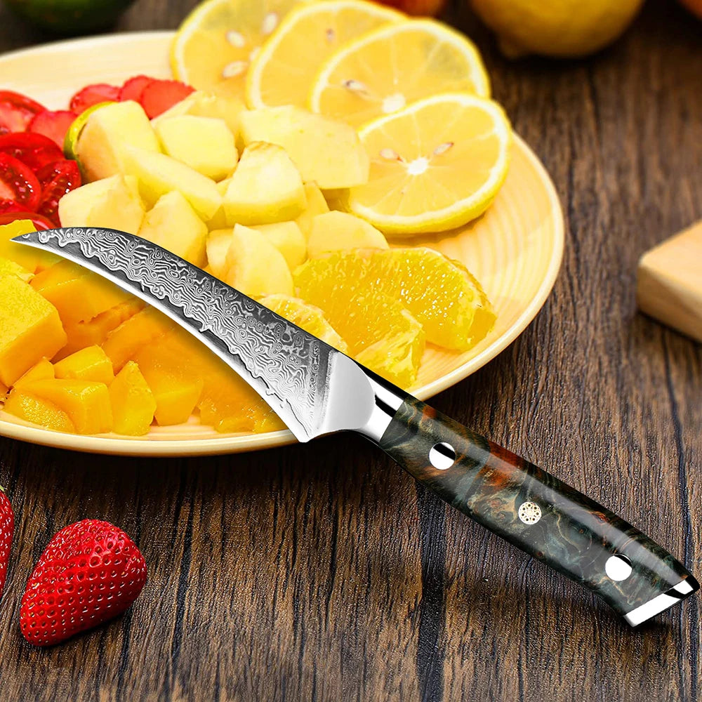 Hector 3.5” Damascus VG10 Paring Knife – Precision in the Palm of Your Hand