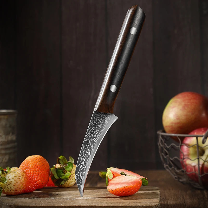 Hector Bird-Beak Paring Knife – 3.5” Damascus Stainless Steel