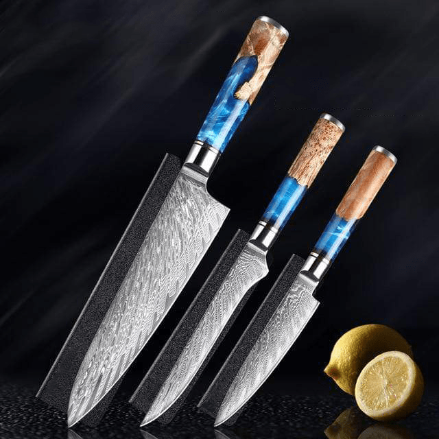 Hector Japanese Damascus Steel Kitchen Knife Set With Resin Handle