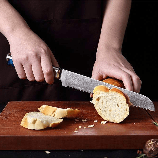 Hector Japanese Damascus Steel Kitchen Knife Set With Resin Handle