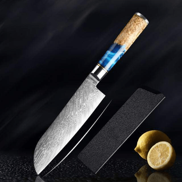 Hector Japanese Damascus Steel Kitchen Knife Set With Resin Handle