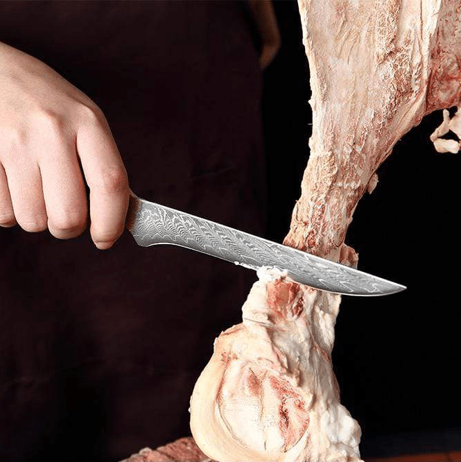 Hector Japanese Damascus Steel Kitchen Knife Set With Resin Handle