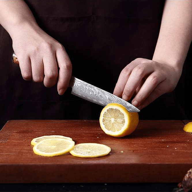 Hector Japanese Damascus Steel Kitchen Knife Set With Resin Handle