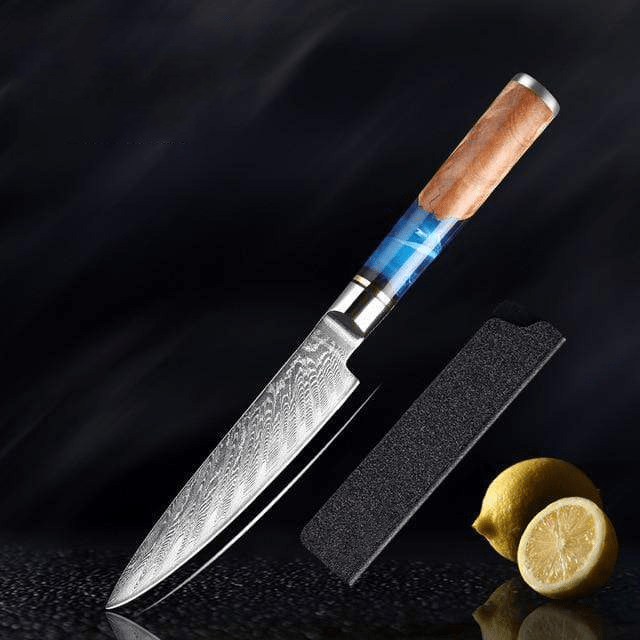 Hector Japanese Damascus Steel Kitchen Knife Set With Resin Handle