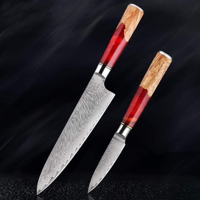 HECTOR Japanese Damascus Steel Kitchen Knife Set With Coloured Red Handle