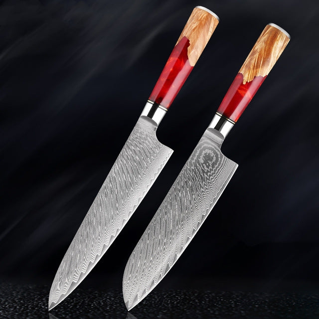 HECTOR Japanese Damascus Steel Kitchen Knife Set With Coloured Red Handle