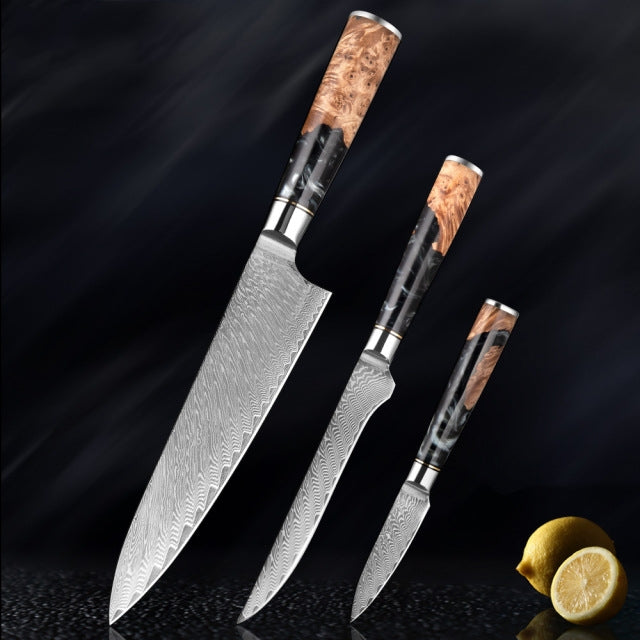 HECTOR Japanese Damascus Steel Kitchen Knife Set With Coloured Black Handle