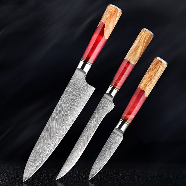 HECTOR Japanese Damascus Steel Kitchen Knife Set With Coloured Red Handle