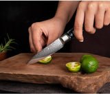 4 Piece Damascus Steel Chef Knife Set