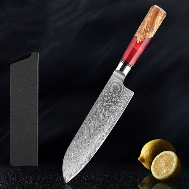 HECTOR Japanese Damascus Steel Kitchen Knife Set With Coloured Red Handle