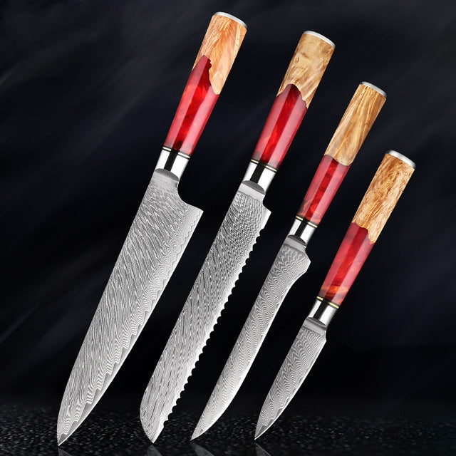 HECTOR Japanese Damascus Steel Kitchen Knife Set With Coloured Red Handle