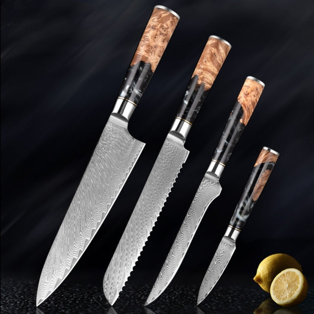 HECTOR Japanese Damascus Steel Kitchen Knife Set With Coloured Black Handle