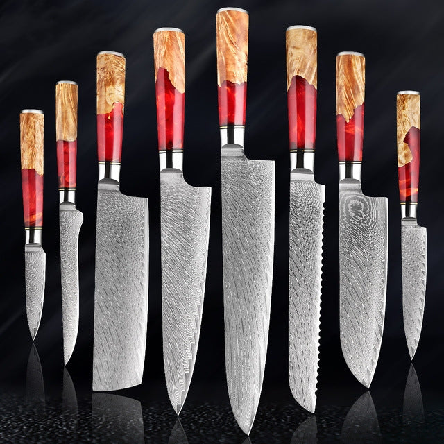 HECTOR Japanese Damascus Steel Kitchen Knife Set With Coloured Red Handle