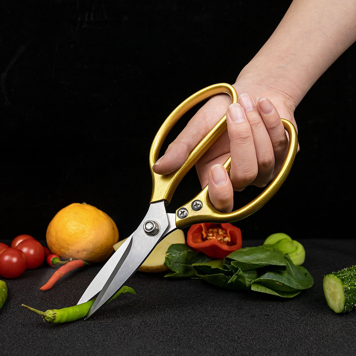 Hector Shears, Kitchen Scissors