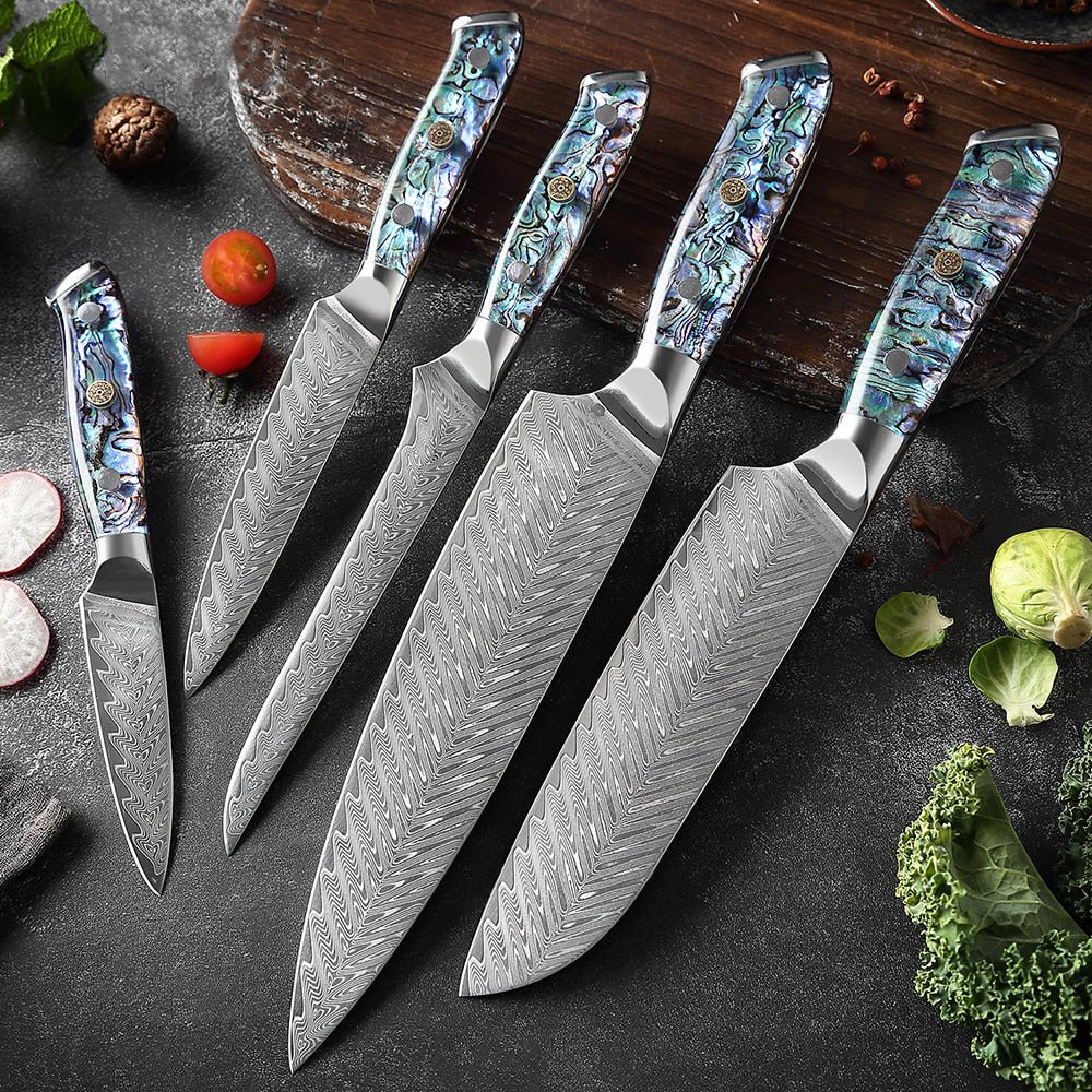 HECTOR Damascus Steel Knife with Abalone Handle