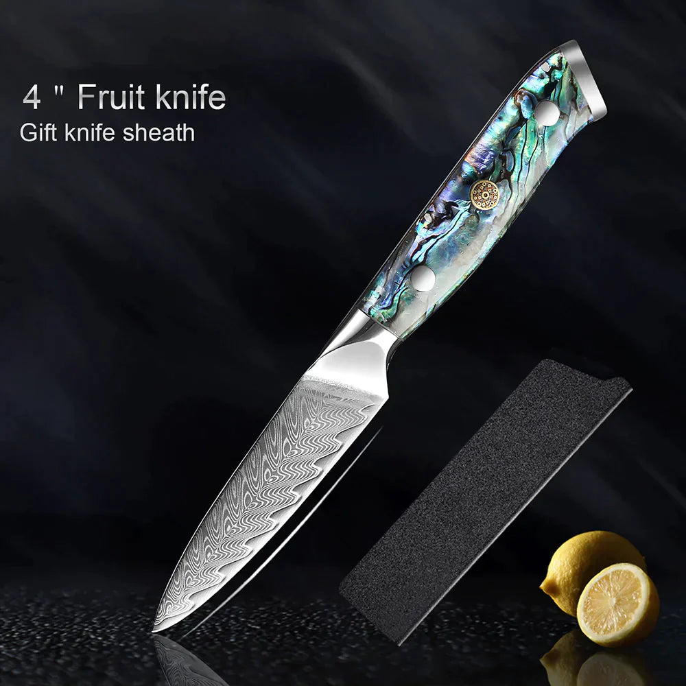 HECTOR Damascus Steel Knife with Abalone Handle