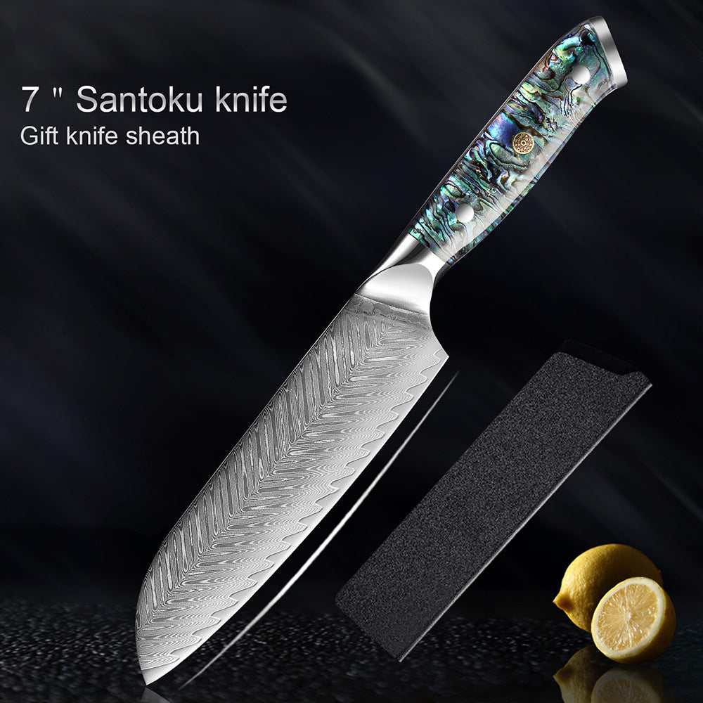 HECTOR Damascus Steel Knife with Abalone Handle