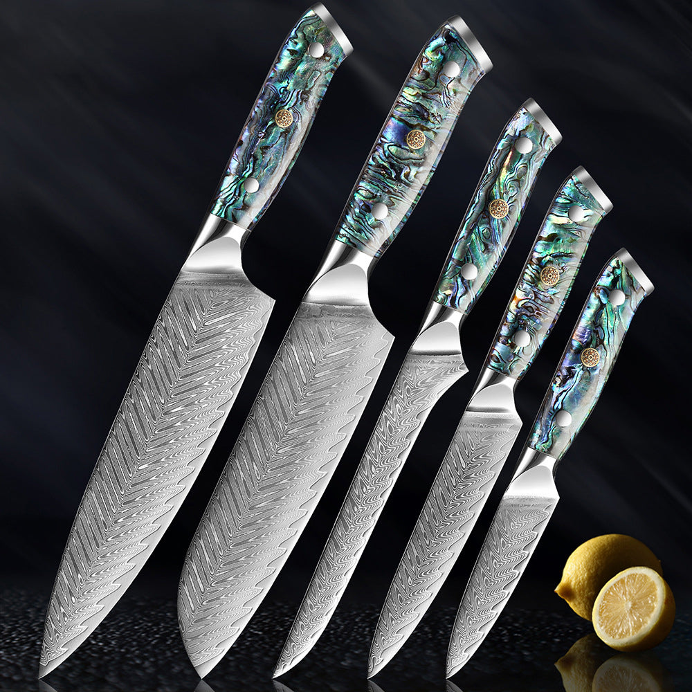 HECTOR Damascus Steel Knife with Abalone Handle