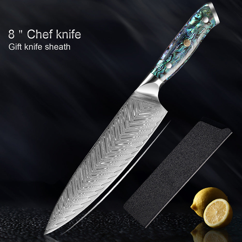 HECTOR Damascus Steel Knife with Abalone Handle