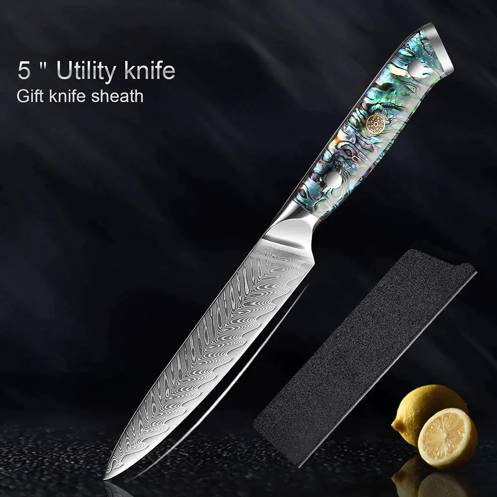 HECTOR Damascus Steel Knife with Abalone Handle